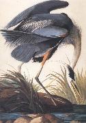 John James Audubon Great Blue Heron oil painting artist